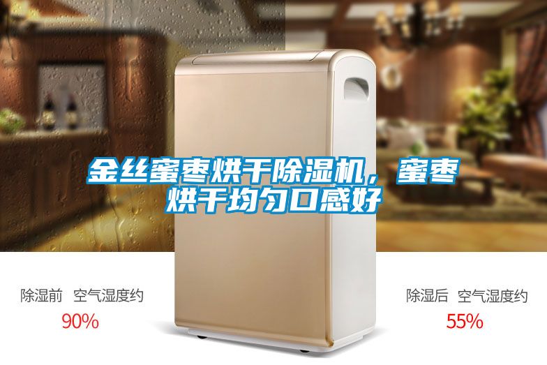 金絲蜜棗烘干除濕機，蜜棗烘干均勻口感好
