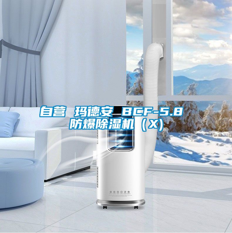 自營 瑪德安 BCF-5.8 防爆除濕機（X)