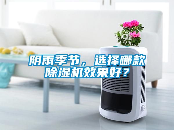 陰雨季節，選擇哪款除濕機效果好？