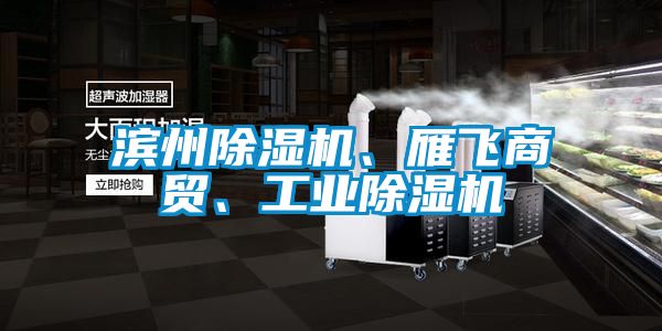 濱州除濕機、雁飛商貿、工業除濕機