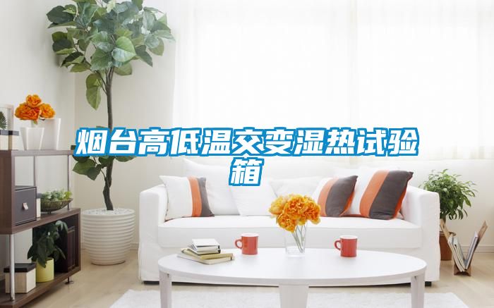 煙臺高低溫交變濕熱試驗箱