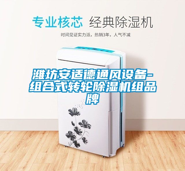 濰坊安適德通風設備-組合式轉輪除濕機組品牌