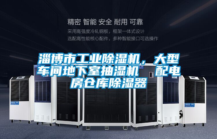 淄博市工業(yè)除濕機(jī)，大型車間地下室抽濕機(jī)  配電房倉庫除濕器