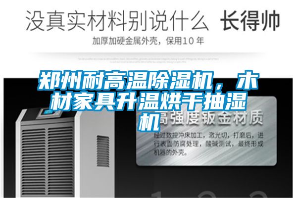 鄭州耐高溫除濕機，木材家具升溫烘干抽濕機