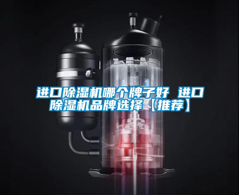 進口除濕機哪個牌子好 進口除濕機品牌選擇【推薦】