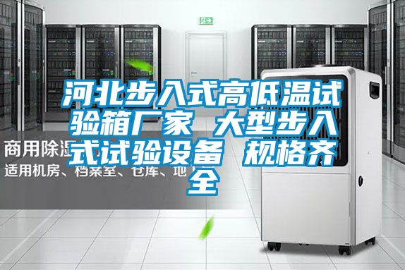 河北步入式高低溫試驗箱廠家 大型步入式試驗設備 規格齊全
