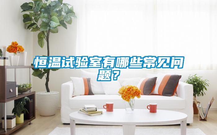 恒溫試驗室有哪些常見問題？