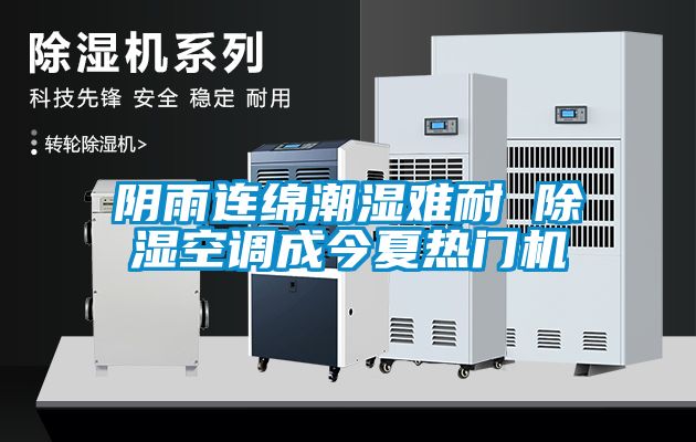 陰雨連綿潮濕難耐 除濕空調成今夏熱門機