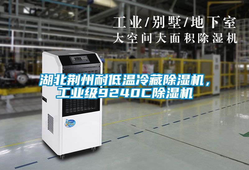 湖北荊州耐低溫冷藏除濕機(jī)，工業(yè)級(jí)9240C除濕機(jī)