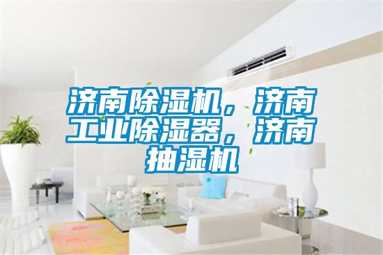 濟南除濕機，濟南工業除濕器，濟南抽濕機