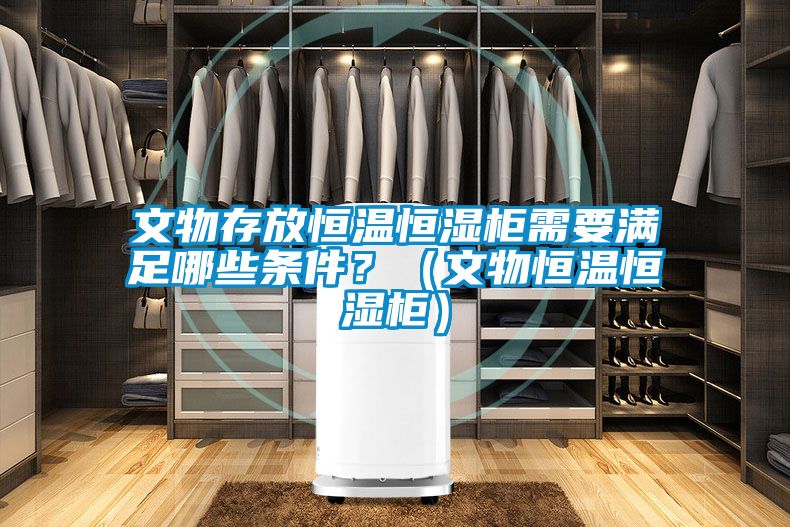 文物存放恒溫恒濕柜需要滿足哪些條件？（文物恒溫恒濕柜）