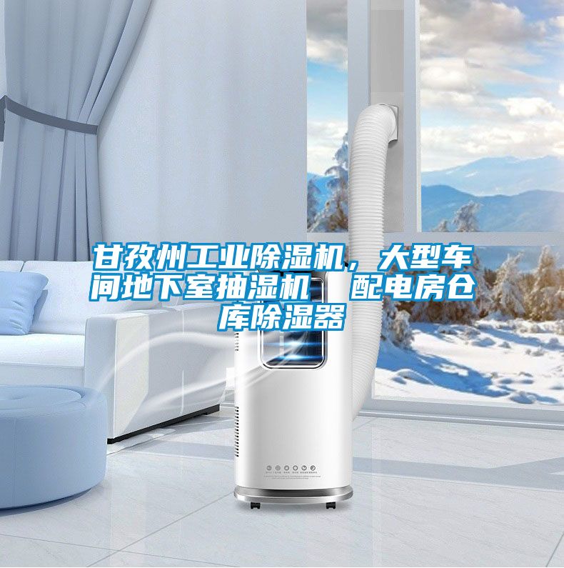 甘孜州工業除濕機，大型車間地下室抽濕機  配電房倉庫除濕器
