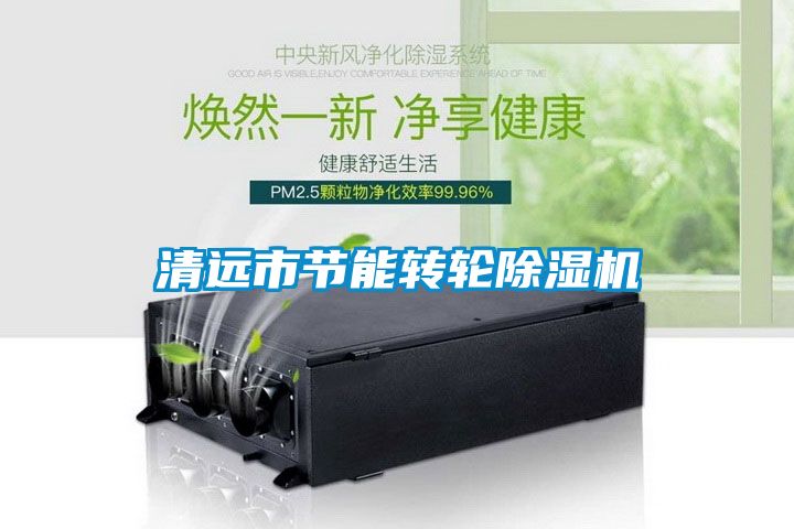 清遠市節能轉輪除濕機