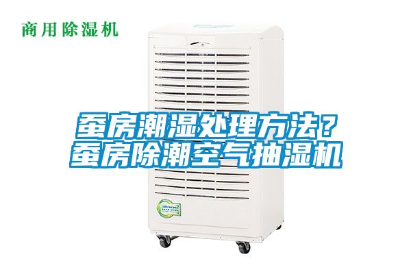蠶房潮濕處理方法？蠶房除潮空氣抽濕機