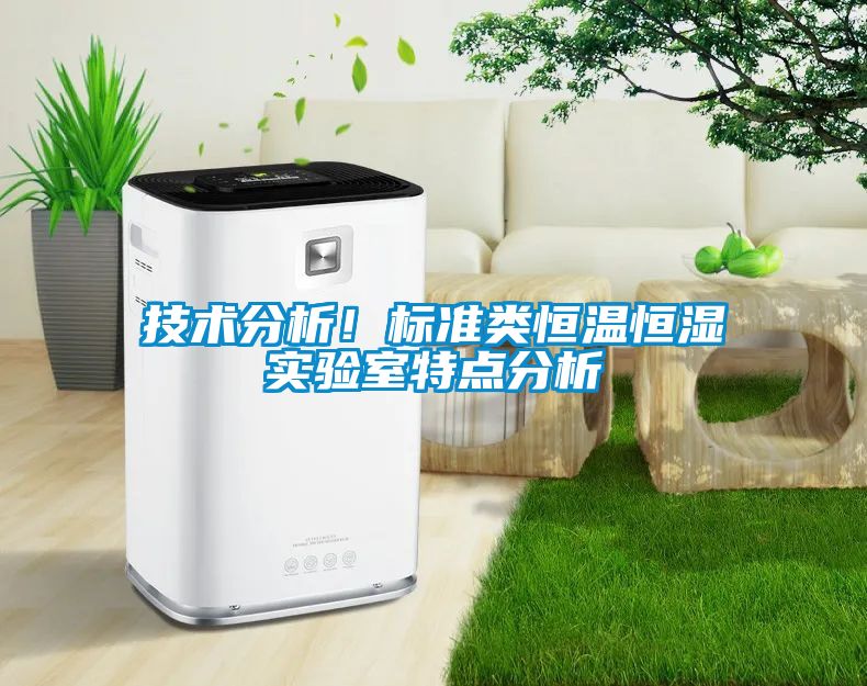技術(shù)分析！標(biāo)準(zhǔn)類恒溫恒濕實驗室特點分析