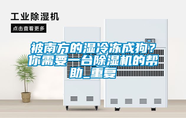 被南方的濕冷凍成狗？你需要一臺除濕機(jī)的幫助_重復(fù)