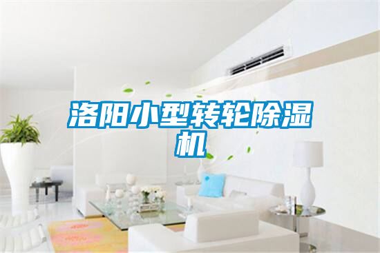 洛陽小型轉輪除濕機