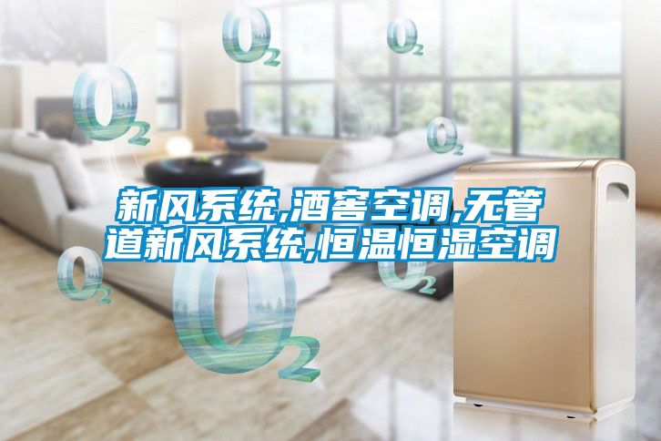 新風系統,酒窖空調,無管道新風系統,恒溫恒濕空調