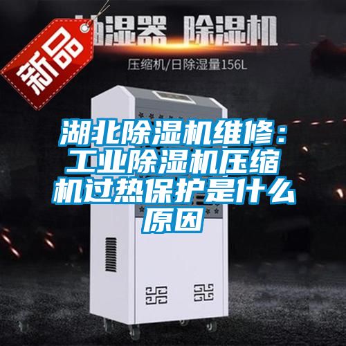 湖北除濕機(jī)維修：工業(yè)除濕機(jī)壓縮機(jī)過(guò)熱保護(hù)是什么原因