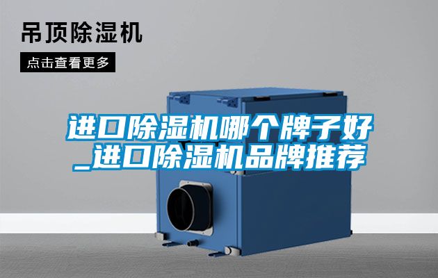進(jìn)口除濕機(jī)哪個牌子好_進(jìn)口除濕機(jī)品牌推薦