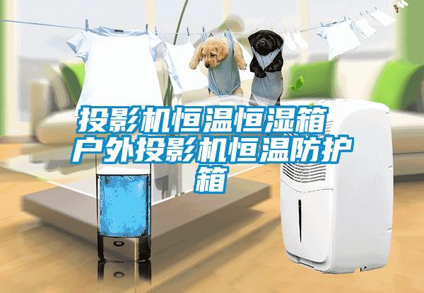 投影機(jī)恒溫恒濕箱 戶外投影機(jī)恒溫防護(hù)箱