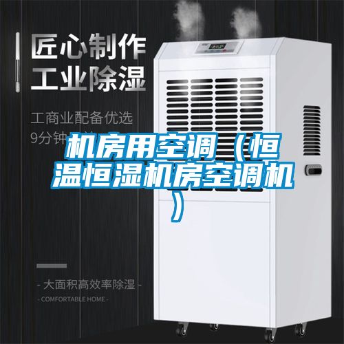 機房用空調（恒溫恒濕機房空調機）