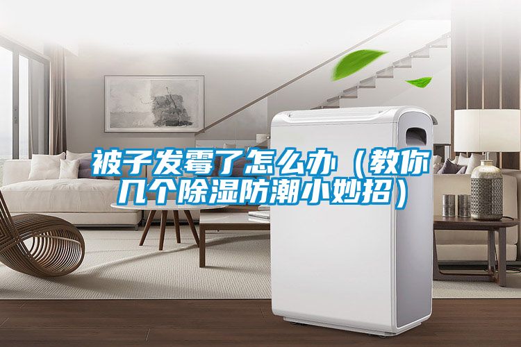 被子發(fā)霉了怎么辦（教你幾個除濕防潮小妙招）