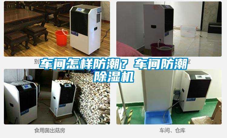 車間怎樣防潮？車間防潮除濕機(jī)