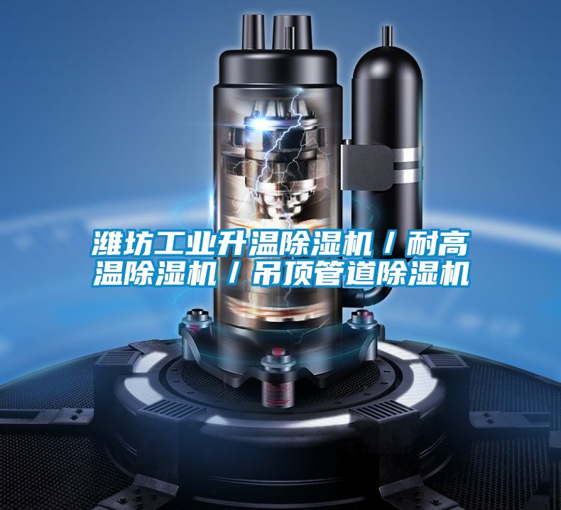 濰坊工業(yè)升溫除濕機／耐高溫除濕機／吊頂管道除濕機