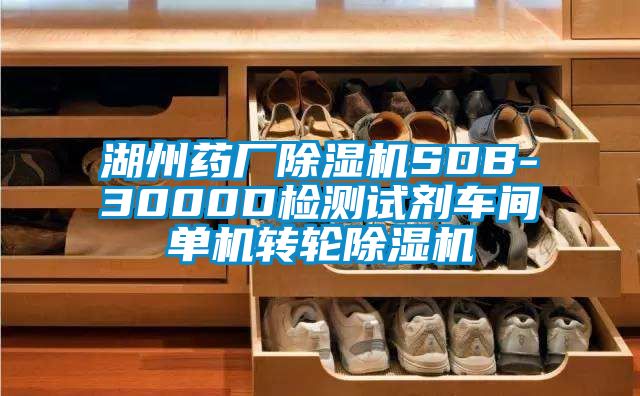 湖州藥廠除濕機(jī)SDB-3000D檢測(cè)試劑車間單機(jī)轉(zhuǎn)輪除濕機(jī)