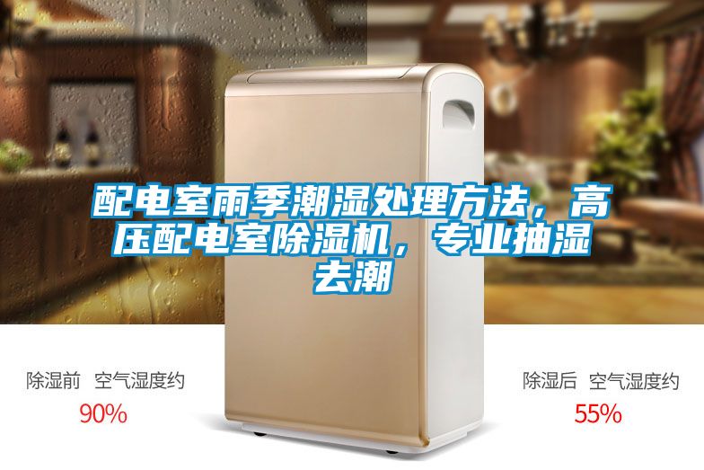 配電室雨季潮濕處理方法，高壓配電室除濕機(jī)，專業(yè)抽濕去潮