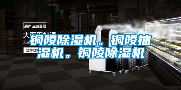 銅陵除濕機。銅陵抽濕機。銅陵除濕機