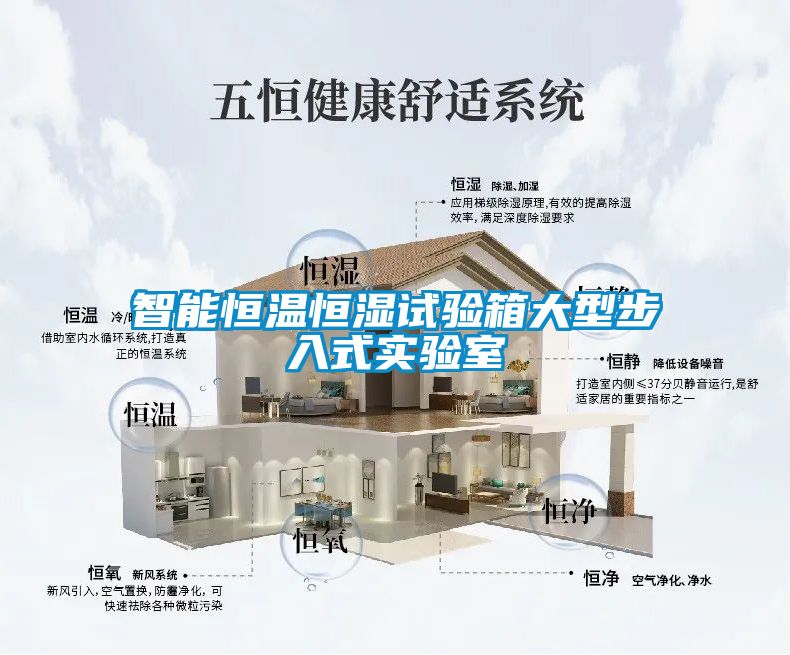 智能恒溫恒濕試驗箱大型步入式實驗室