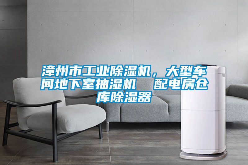 漳州市工業(yè)除濕機(jī)，大型車間地下室抽濕機(jī)  配電房倉(cāng)庫(kù)除濕器