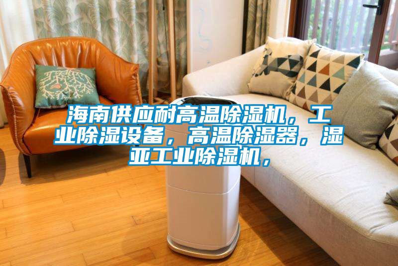 海南供應(yīng)耐高溫除濕機(jī)，工業(yè)除濕設(shè)備，高溫除濕器，濕亞工業(yè)除濕機(jī)，