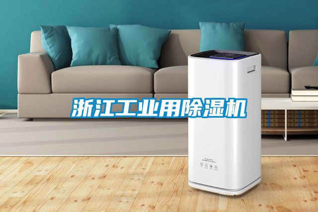 浙江工業用除濕機