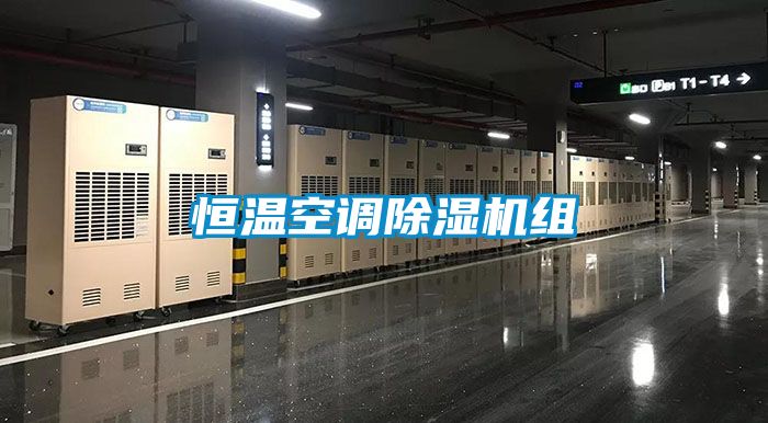 恒溫空調除濕機組