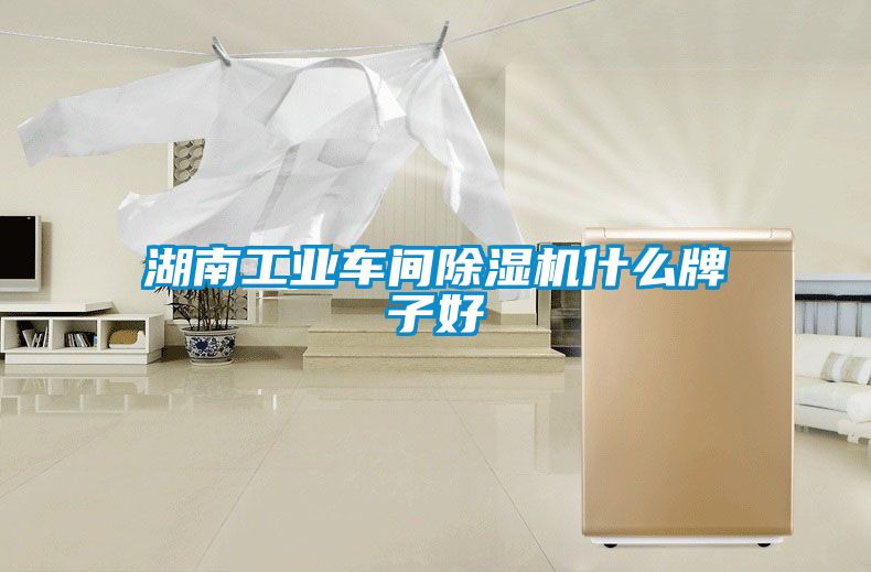 湖南工業車間除濕機什么牌子好