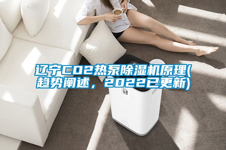 遼寧CO2熱泵除濕機原理(趨勢闡述，2022已更新)