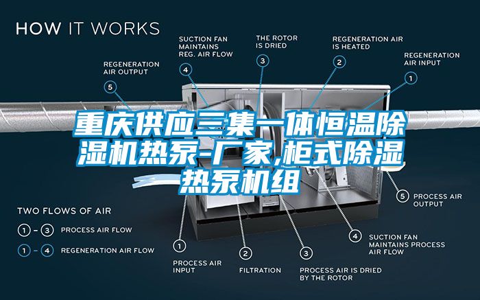 重慶供應三集一體恒溫除濕機熱泵-廠家,柜式除濕熱泵機組