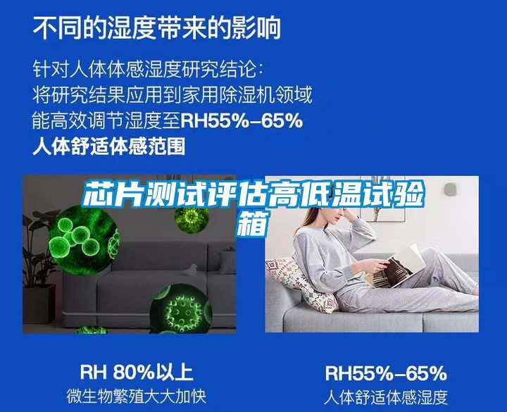 芯片測(cè)試評(píng)估高低溫試驗(yàn)箱