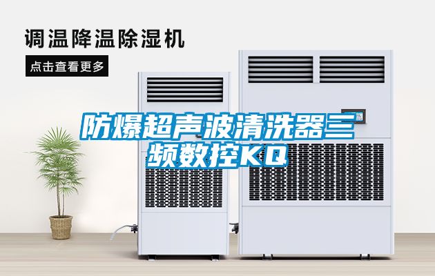 防爆超聲波清洗器三頻數控KQ