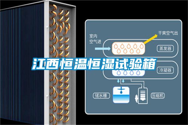 江西恒溫恒濕試驗箱