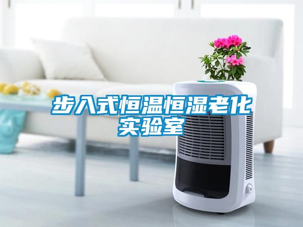 步入式恒溫恒濕老化實驗室