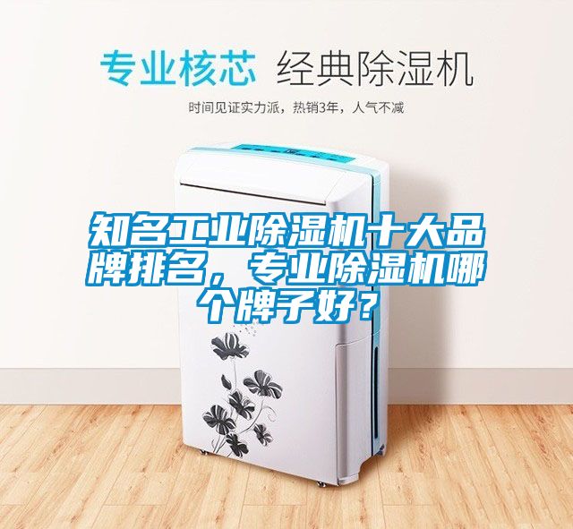 知名工業(yè)除濕機十大品牌排名，專業(yè)除濕機哪個牌子好？