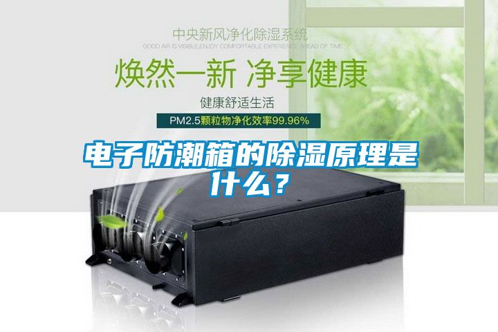電子防潮箱的除濕原理是什么？