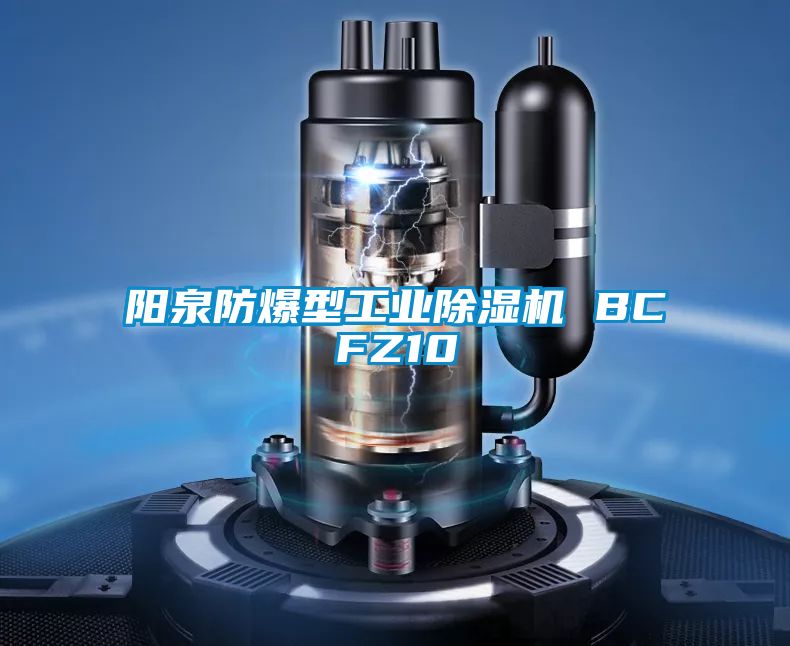 陽泉防爆型工業(yè)除濕機 BCFZ10