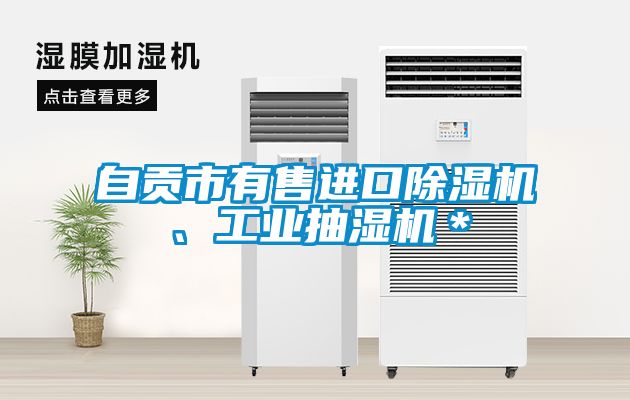 自貢市有售進(jìn)口除濕機(jī)、工業(yè)抽濕機(jī)＊