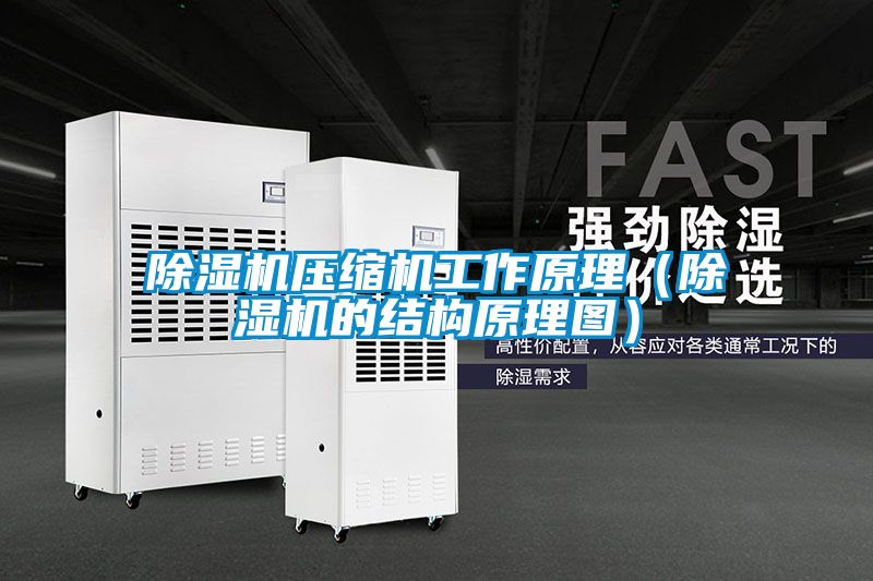 除濕機(jī)壓縮機(jī)工作原理（除濕機(jī)的結(jié)構(gòu)原理圖）