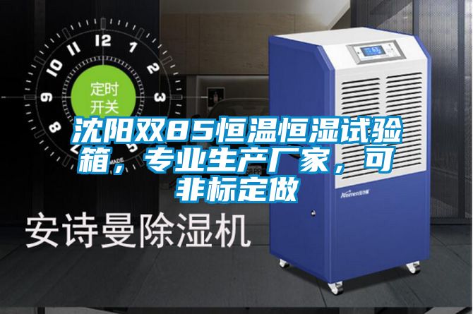 沈陽雙85恒溫恒濕試驗箱，專業生產廠家，可非標定做